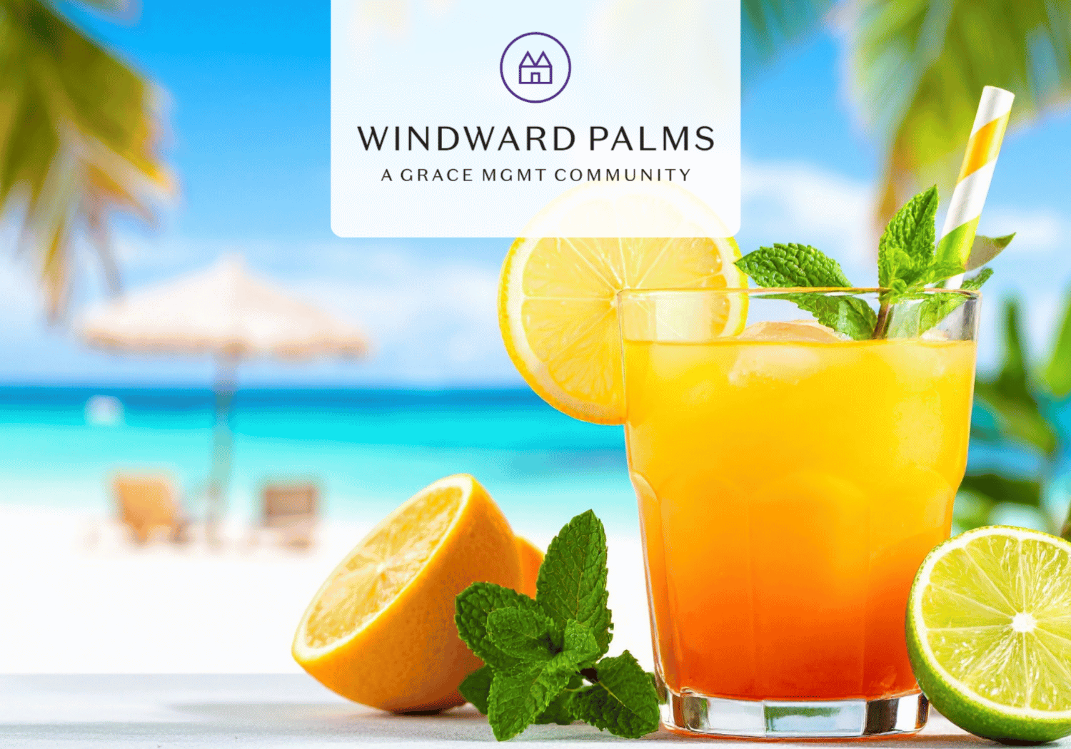 Bright tropical beach scene with a glass of orange juice, citrus slices, and mint; Windward Palms logo sits above.